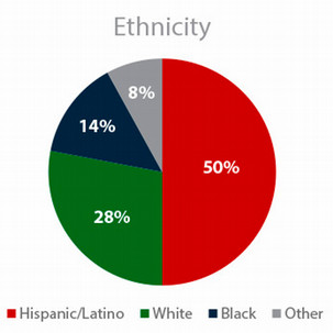 50% Hispanic/Latino; 28% White; 14% Black; 8% Other